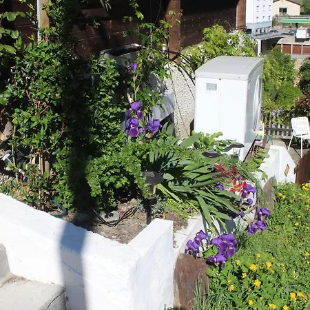 Διαμέρισμα Chinegga *