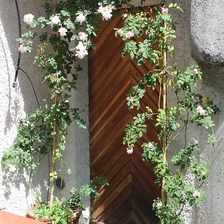 アパート Chinegga *