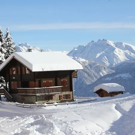 Apartment Chinegga Stalden