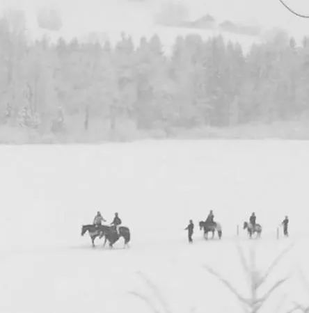 アパート Chinegga シュタルデン