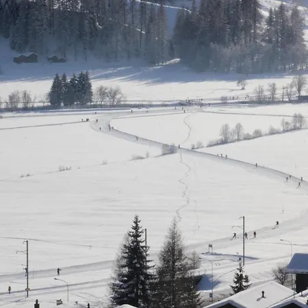 Chinegga Apartment *