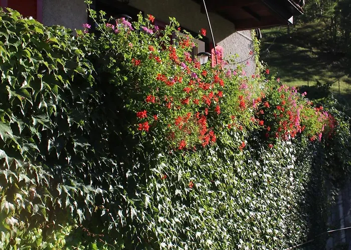 Chinegga Διαμέρισμα