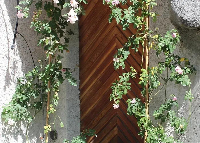 Διαμέρισμα Chinegga *