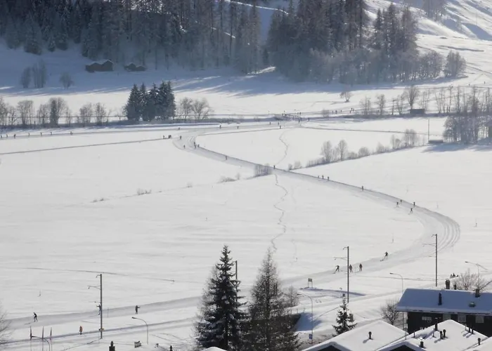 Chinegga Διαμέρισμα *