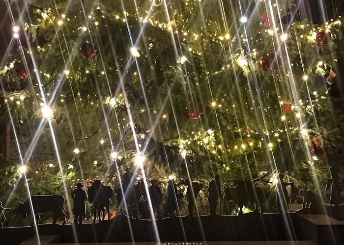 Chinegga Διαμέρισμα